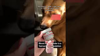 🐾 Stop Bleeding Fast! 🩹 Evo Dyne Styptic Powder