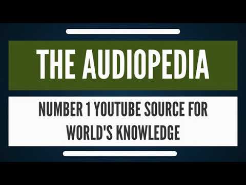 The Audiopedia