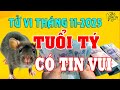 Tử Vi Tuổi Tý Tháng 11-2025: Thoát Hạn Tam Tai, Vận Trình Hồi Phục | Tử ...