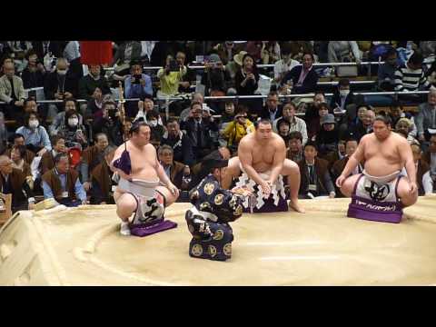平成29年3月場所６日目 横綱鶴竜 土俵入り