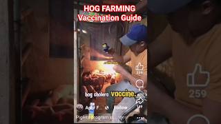 PIGLET VACCINATION: A 21-Day Program for Optimal Health