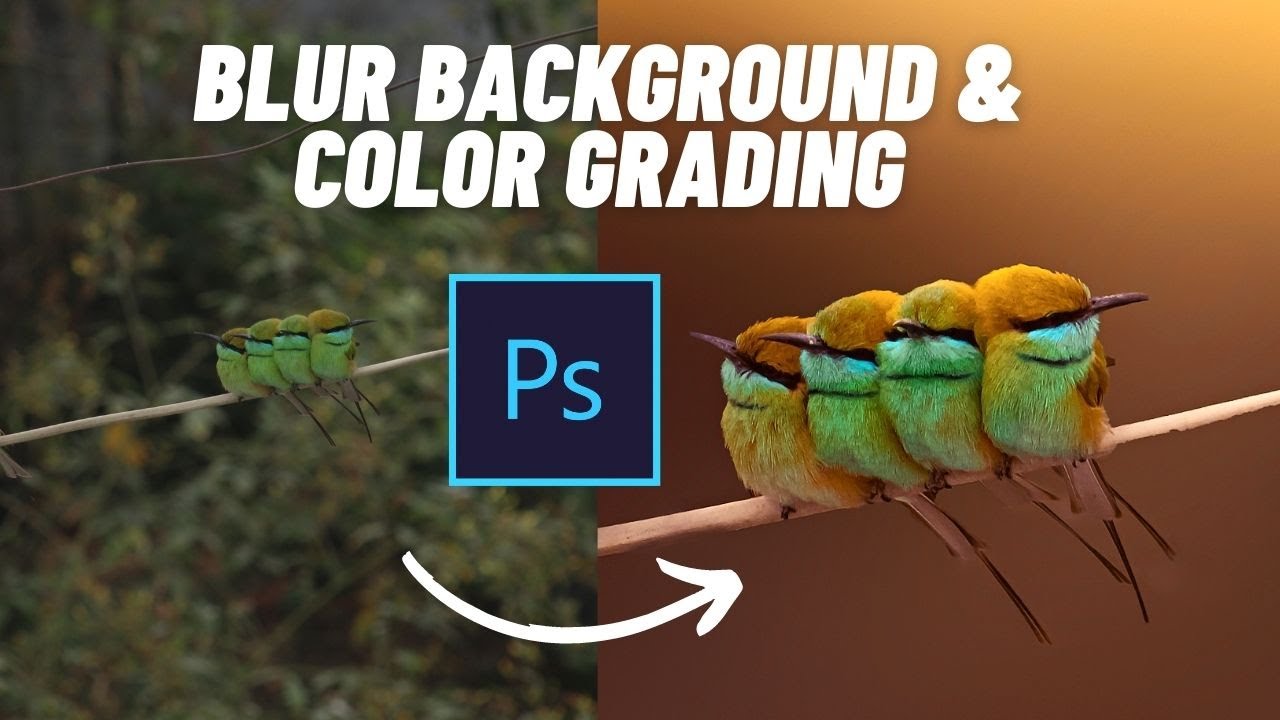 Edit Wildlife Photography like a Pro | How to blur background in ...