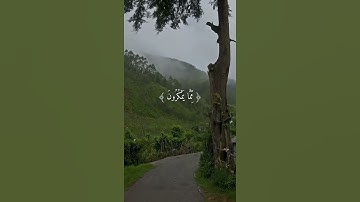 القرآن الكريم | وَاصْبِرْ وَمَا صَبْرُكَ إِلَّا بِاللَّهِ ۚ وَلَا تَحْزَنْ عَلَيْهِمْ | سورة النحل