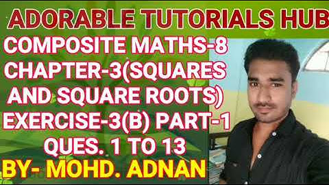 COMPOSITE MATHS CLASS-8 CHAPTER-3(SQUARES & SQUARE ROOTS) EXERCISE-3(B) PART-1
