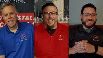 What Are The Basics of Bird Net? | Ask An Expert | Bird B Gone