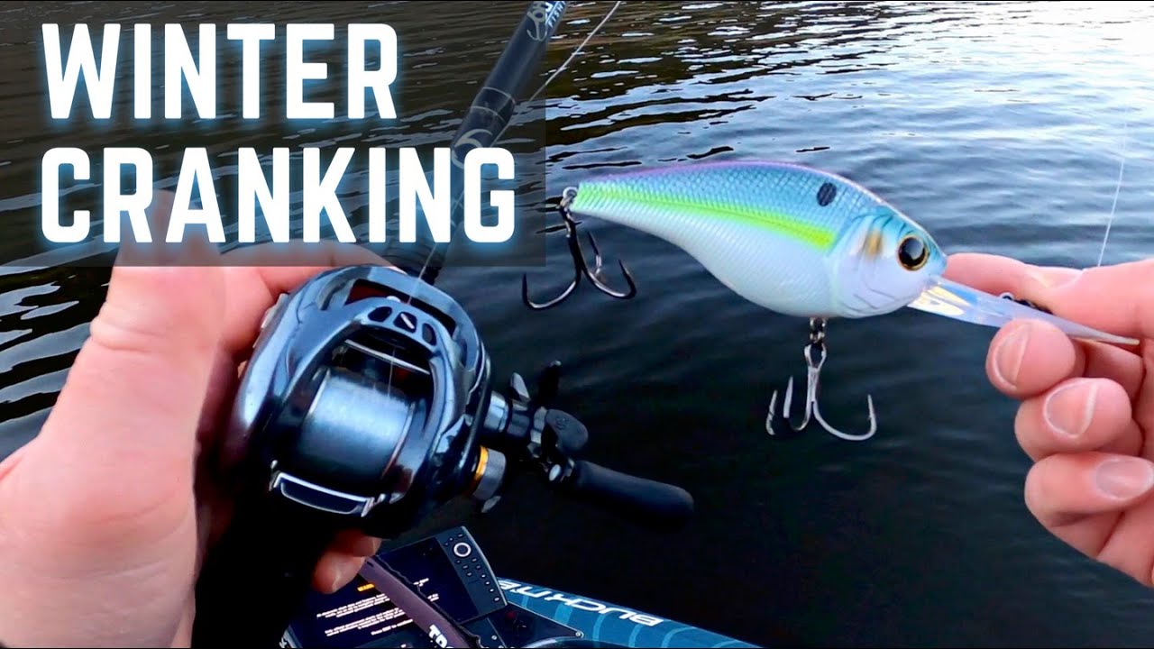 Searching for GIANTS - WINTER BASS FISHING with DEEP DIVING CRANKBAITS 