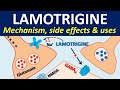 Lamotrigine - Mechanism, side effects, drug interactions & uses