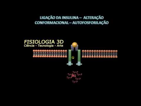 Vídeo: Diferença Entre Quinase E Fosforilase