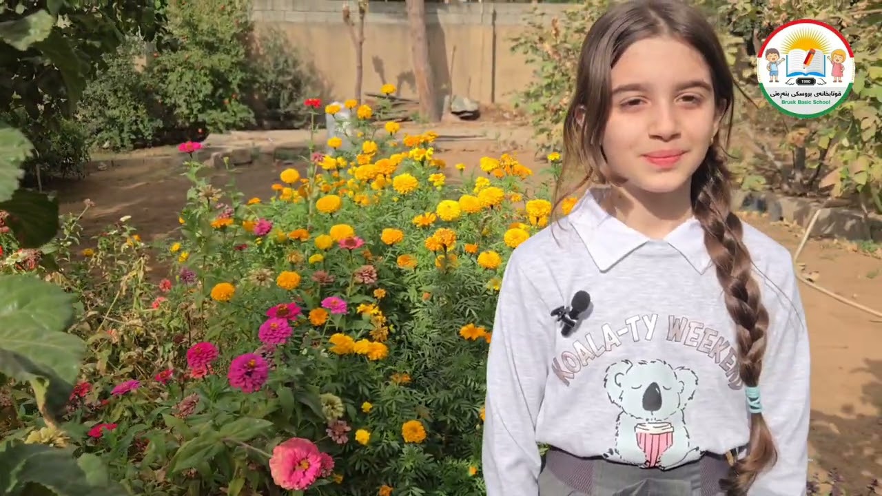 چالاکی { ڕووناکی ووشەکان }