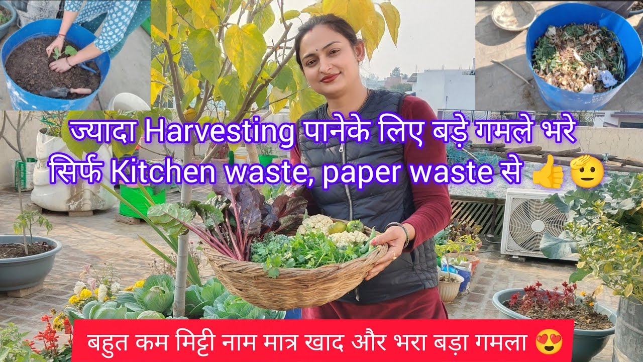 Очень мало земли, совсем немного навоза и большой горшок, наполненный им 😍 / Использую кухонные б...