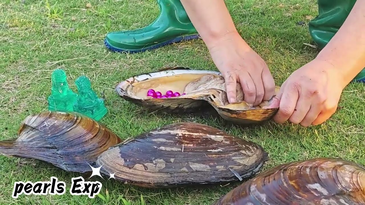 Unbelievable, such a beautiful crystal, there are pearls in the mussels picked up in the wild