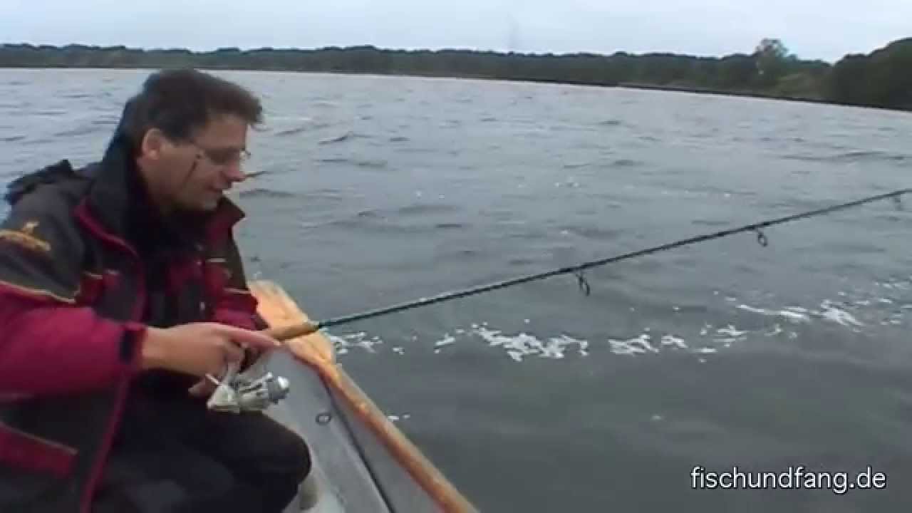 Auf Raubfisch - Hecht und Barsch am Wittensee
