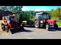 GoPro: Krmení a proces dojení krav (2020) - Feeding cows Zetor 7011 a Loucust 903+