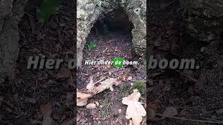 Download Lagu Een heleboel aangevreten noten... Van wie zouden ze zijn? 🌰 MP3