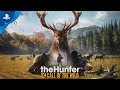 獵人：荒野的呼喚 theHunter: Call of the Wild -PS4英文美版 product youtube thumbnail