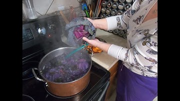 Paper Dying | Red Cabbage dye bath preserving - pt 1
