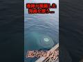 海外の海面で漂う不気味な未確認生物が…#uma #未確認生物 #未確認生命体