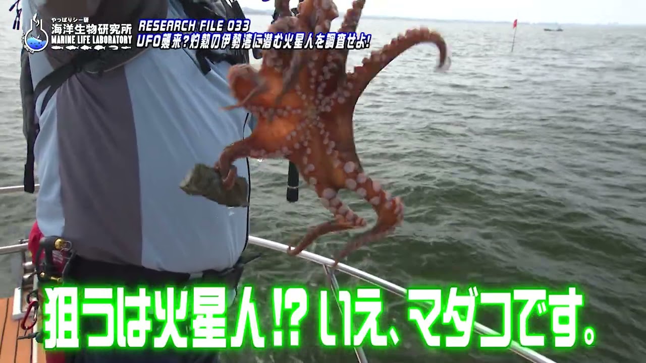 YouTube_OD6dvt--2bsサムネイル