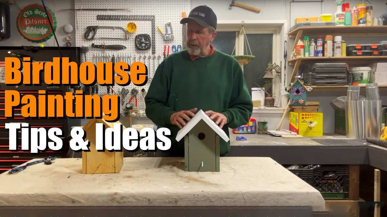 Should You Paint Your Birdhouse? Ideas, Tips, and What's Best for the Birds