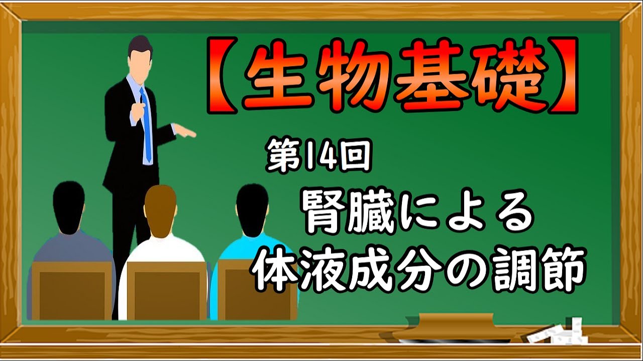 生物基礎【第14回 腎臓による体液成分の調節】オンラインで高校授業