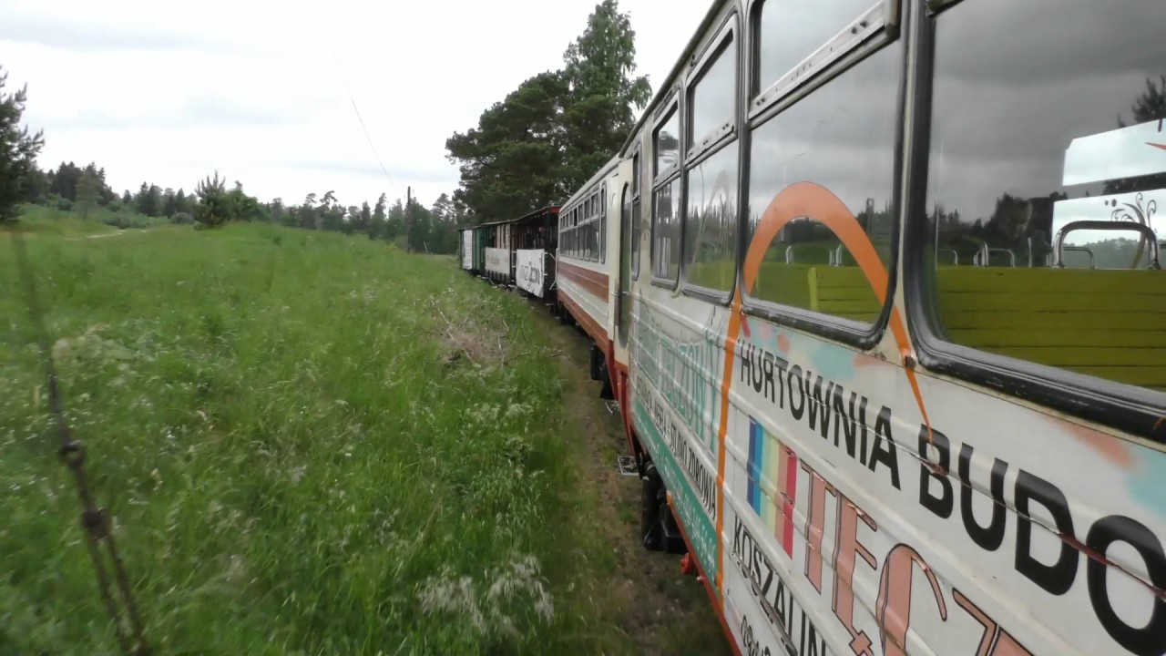 Nadleśnictwo Manowo kurs 1 czerwca 2017