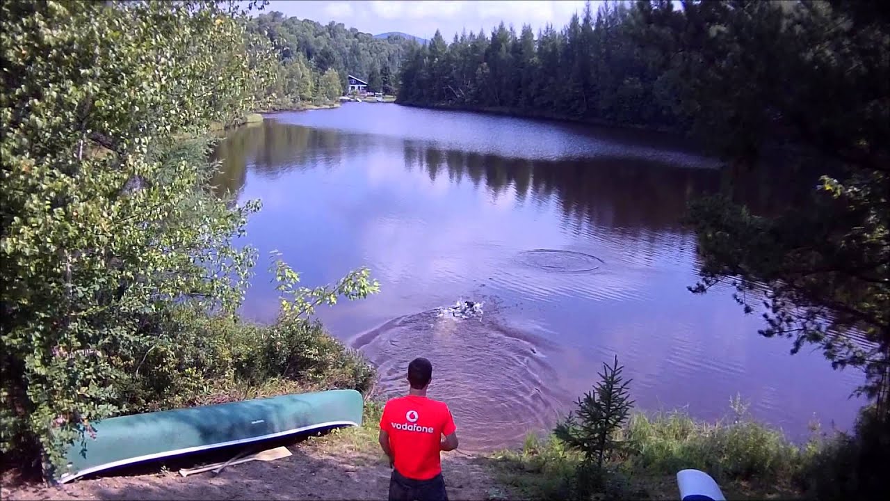 Dog playing fetch in the lake - YouTube