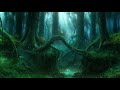 Enchanted Forest Ambience