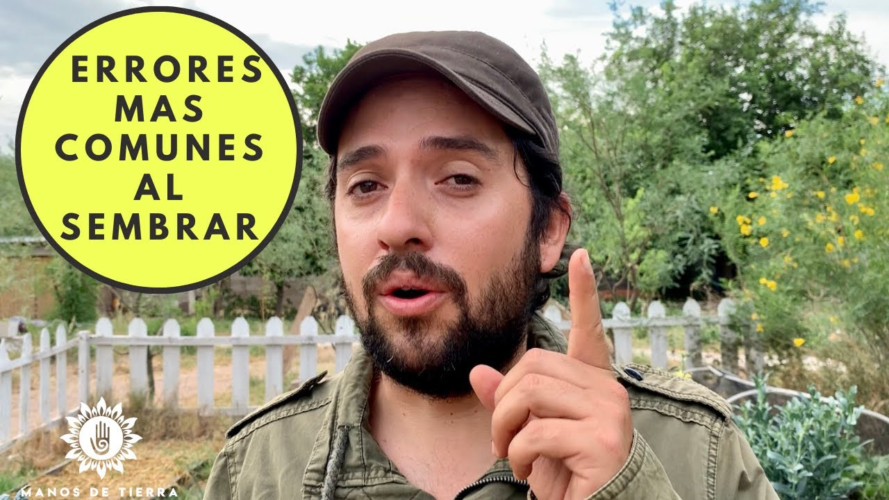 12 Errores Mas Comunes Al Sembrar Y Plantar  /huerto en casa/manos de tierra