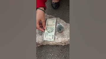 Jingle Bell🔔Rock 🎅 TikTok Viral Video 🎄 | New Trending Video 🤩 | Merry Christmas 🤶🏻 | 💸 vs 🎄