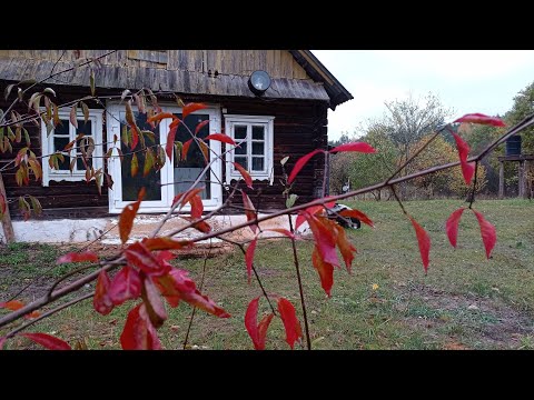 УРА, это СЛУЧИЛОСЬ!!! ФРАНЦУЗСКОЕ ОКНО на ХУТОРЕ ЗЕМЛЯНИЧНОМ ! №16