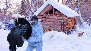 видео: ЖИВУ С КОШКОЙ И СОБАКОЙ В ИЗБУШКЕ ЗИМОЙ / СПАС КУСОК ИЗОЛЕНТЫ В ТАЙГЕ / ОХОТА НА ГЛУХАРЯ В МОРОЗ -30 картинка: ЖИВУ С КОШКОЙ И СОБАКОЙ В ИЗБУШКЕ ЗИМОЙ / СПАС КУСОК ИЗОЛЕНТЫ В ТАЙГЕ / ОХОТА НА ГЛУХАРЯ В МОРОЗ -30