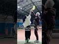 Tennis Serve Pronation – Natural Motion Shadow Swings Drill