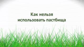 Устойчивое управление пастбищами: что мы должны знать? (Кыргызстан)