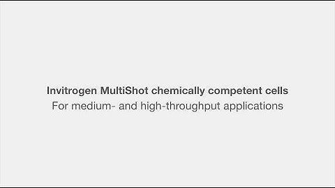 Invitrogen MultiShot high-throughput chemically competent E. coli product overview