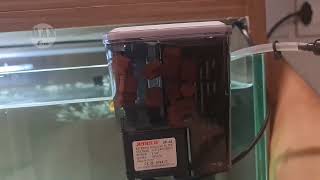 Bơm lọc thác bể cá Jeneca XP-03 giá rẻ 75k