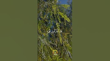 نبئ عبادي أني أنا الغفور الرحيم - سورة الحجر - هزاع البلوشي