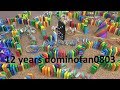 Domino Builders Challenges #8 - 12 years dominofan0803 with ludominosa