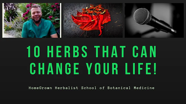 10 Plants That Can Change Your Life: Herbal Medicines In Your Own Backyard! - DayDayNews