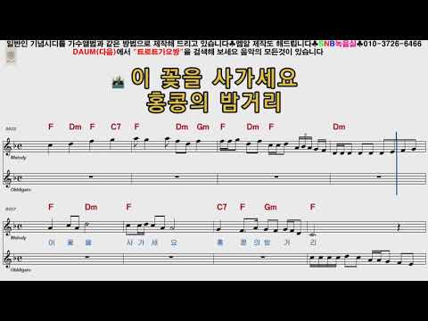금사향 홍콩아가씨