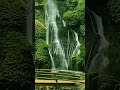 Refreshing mind enjoy exotic #cascade Banyumala in the heart of Paradise Island #shorts #waterfalls