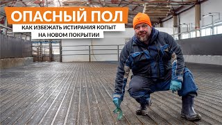 Влияние бетона на хромоту у коров | Выясняем на практике каким НЕ ДОЛЖНО быть покрытие пола