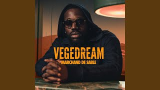 Video thumbnail of "Vegedream - Tout casser"