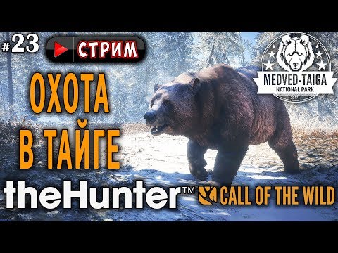 Видео: theHunter Call of the Wild #23 СТРИМ 🔫 - Охота в Тайге - Ружье, Винтовка, Штуцер