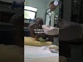 Baby Orangutan Almost Dies After Being Left in Cardboard Box
