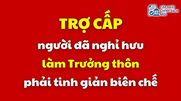 Trợ cấp với người đã nghỉ hưu làm Trưởng thôn, phải tinh giản biên chế | Trưởng thôn