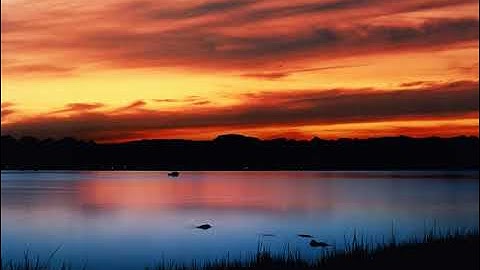 سورة البلد بصوت القارئ فهد الكندري