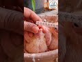 التأكيل اليدوي للزغاليل