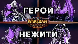 ГЕРОИ НЕЖИТИ- Warcraft 3 : Reforged - гайд варкрафт 3 за нежить (андедов)