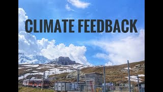 Positive & Negative Climate Feedback Mechanism