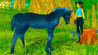 Training A Lost Foal!! A New Horse on Star Stable Online Game Video